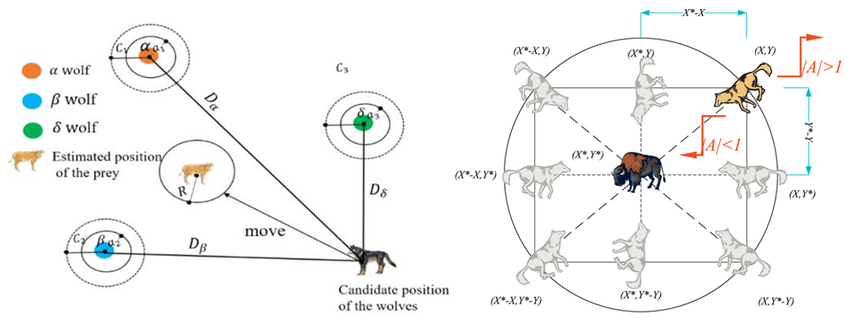 Diagram of the Grey Wolf Optimizer: the alpha, beta and delta wolves guide the pack towards the prey.